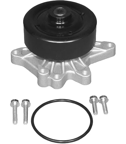 Amazon.com: New OP00044-1 Engine Oil Pump & Gasket (Metal) for 98